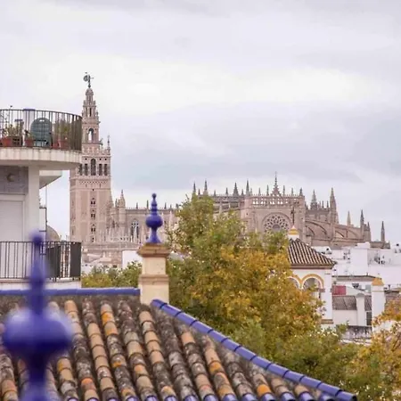 Monkeys Apartments Adriano & Terrace Seville Exterior photo